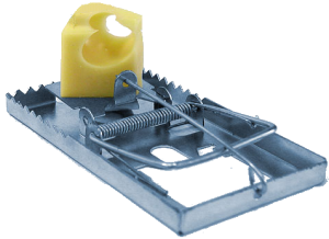 Mouse trap PNG-28447